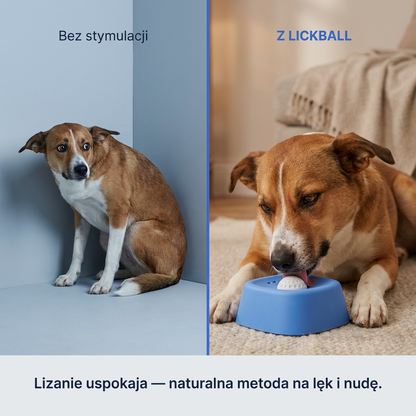 Miska Slow Feeder z Kulką dla Psa na Płynne Smakołyki | LICKBALL